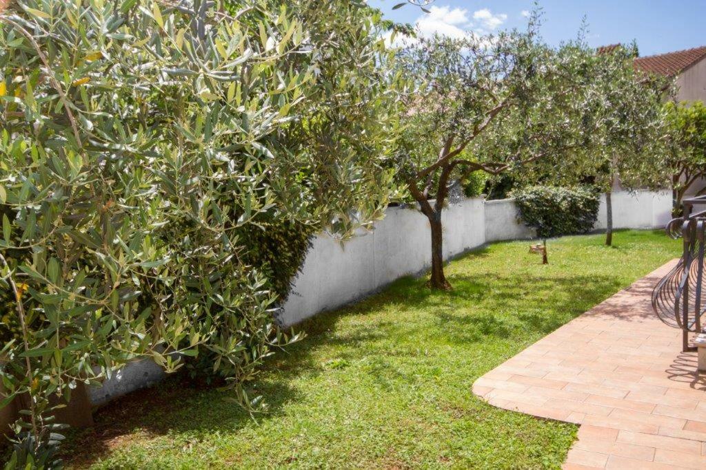 Villa Sveta Eufemija - Bed&breakfast Rovinj Exteriör bild